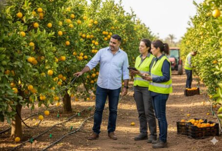 Pepe Berzunza visitando un moshav en Israel durante la misión comercial Campeche–Israel 2015, observando parcelas de cítricos, sistemas de riego por goteo y tecnología agrícola cooperativa.”